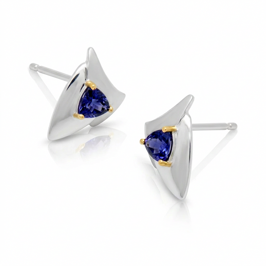 Contemporary Design Earrings in 925 Sterling Silver | E7823