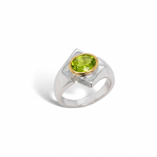 Modern Gemstone Ring in 925 Sterling Silver | R6998