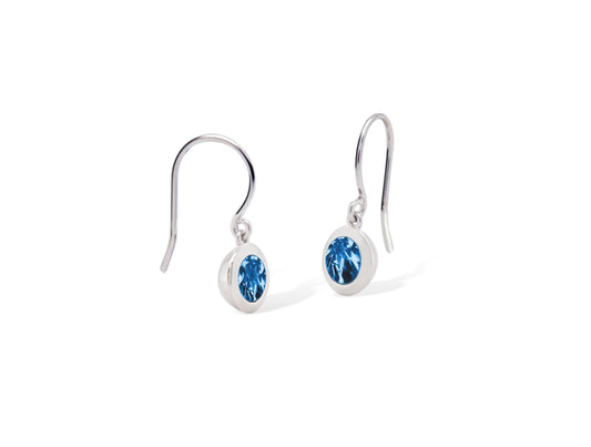 Amethyst and Iolite earrings in sterling silver by Joryel Vera, style E4113