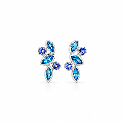 Blue Topaz and Tanzanite earrings in sterling silver by Joryel Vera, style E4205