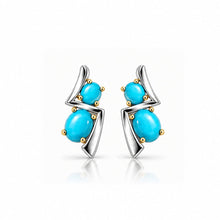 Load image into Gallery viewer, E3999 Abstract Turquoise Earring