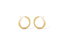 Load image into Gallery viewer, PE19015 SILVER 14k GOLD FINISH EARRING