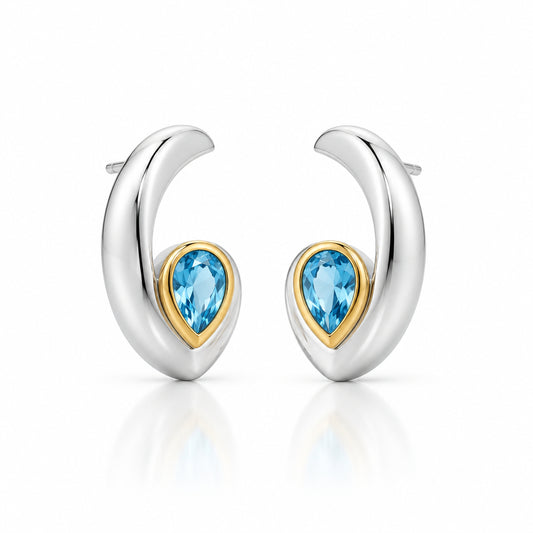 Amethyst and Blue Topaz earrings in sterling silver by Joryel Vera, style E9961
